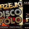 Disco Hits