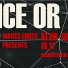 Dance Or D