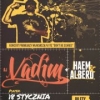 DJ Vadim w